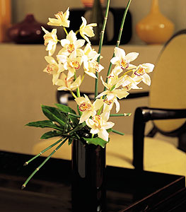  Erzurum kaliteli taze ve ucuz iekler  cam yada mika vazo ierisinde dal orkide
