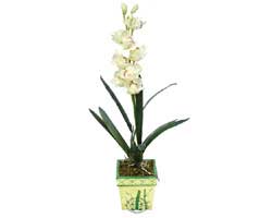 zel Yapay Orkide Beyaz   Erzurum internetten iek sat 