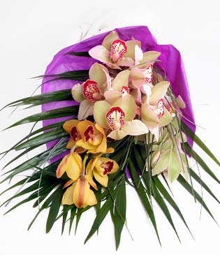  Erzurum nternetten iek siparii  1 adet dal orkide buket halinde sunulmakta