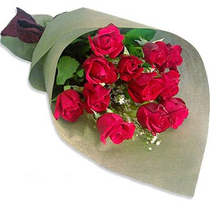 Uluslararasi çiçek firmasi 11 adet gül yolla  Erzurum ucuz çiçek gönder 