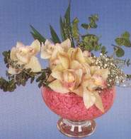 Erzurum ucuz iek gnder  Dal orkide kalite bir hediye