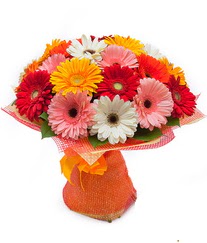 Renkli gerbera buketi  Erzurum çiçek gönderme 