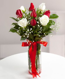 5 kırmızı 4 beyaz gül vazoda  Erzurum İnternetten çiçek siparişi 