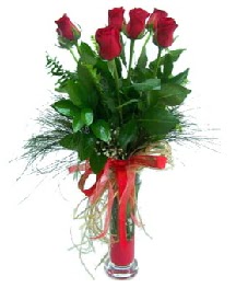 vazo içerisinde 5 kırmızı gül  Erzurum çiçekçi mağazası 