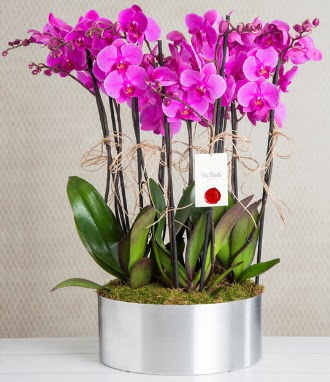 11 dall mor orkide metal vazoda  Erzurum iek siparii vermek 