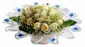cam günes ve dolunay bembeyaz  Erzurum 14 şubat sevgililer günü çiçek 