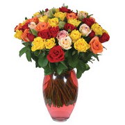 51 adet gül ve kaliteli vazo   Erzurum çiçek siparişi vermek 