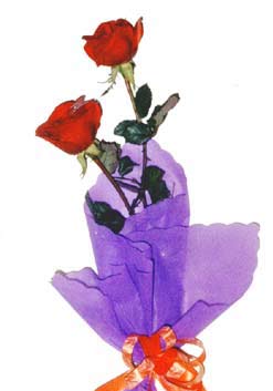 2  adet kirmizi gül buketi   Erzurum 14 şubat sevgililer günü çiçek 
