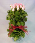 13 adet pembe gül silindirde   Erzurum online çiçek gönderme sipariş 