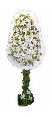  Erzurum çiçek servisi , çiçekçi adresleri  nikah , dügün , açilis çiçek modeli  Erzurum online çiçekçi , çiçek siparişi 