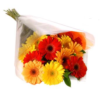 Karisik renklerde gerbera buketi  Erzurum İnternetten çiçek siparişi 