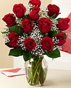 Sevgilime hediye 9 adet 1.ci kalite gül  Erzurum çiçek gönderme 
