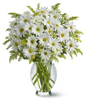 Vazo içerisinde beyaz krizantem çiçekleri  Erzurum çiçek online çiçek siparişi 