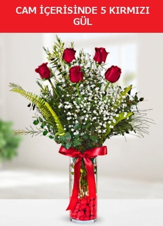 Cam içerisinde 5 adet kırmızı gül  Erzurum çiçek servisi , çiçekçi adresleri 
